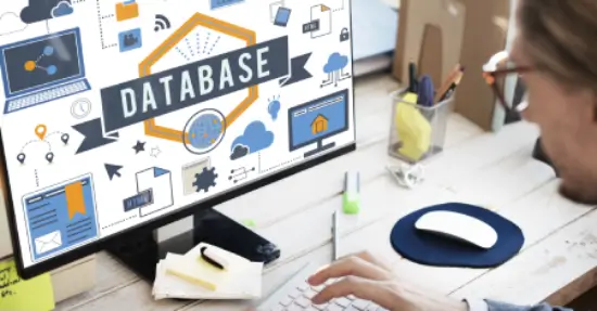 Customised Database Solution thumbnail